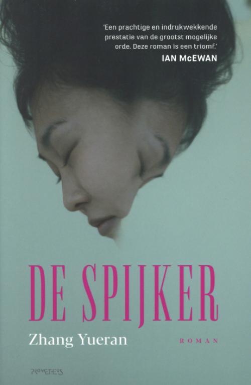 Dit is de afbeelding van het boek De spijker