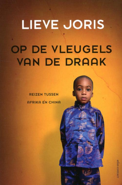 Dit is de afbeelding van het boek Op de vleugels van de draak